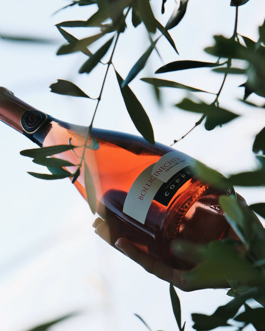 Spumante Extra Dry "BollicineChérì" - COPPI