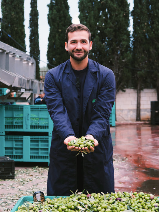 Oliven gewürzt "Bella di Capitanata condite" 350g - OILIVIS