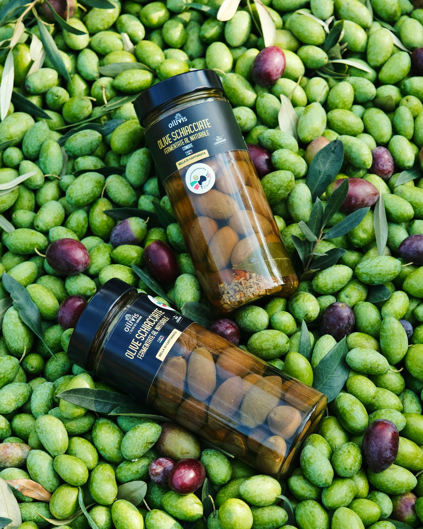Oliven Oilivis gewürzt "Bella di Capitanata condite" 350g