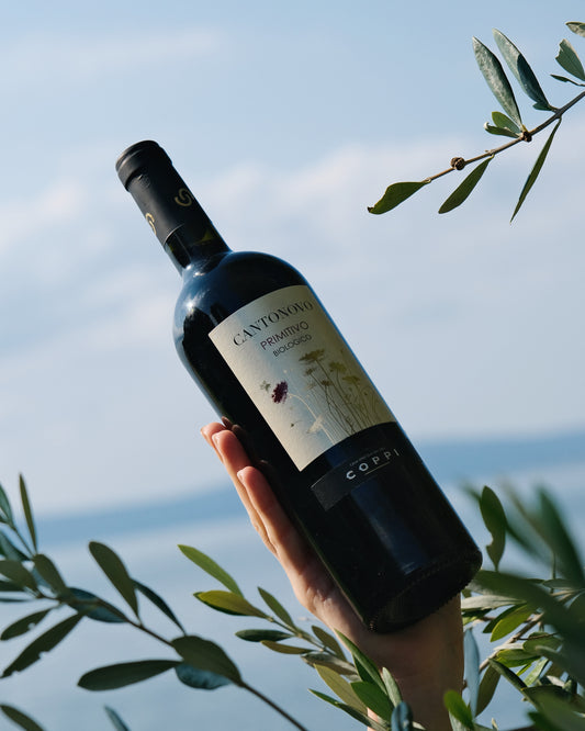 Primitivo BIO "Cantonovo" - COPPI
