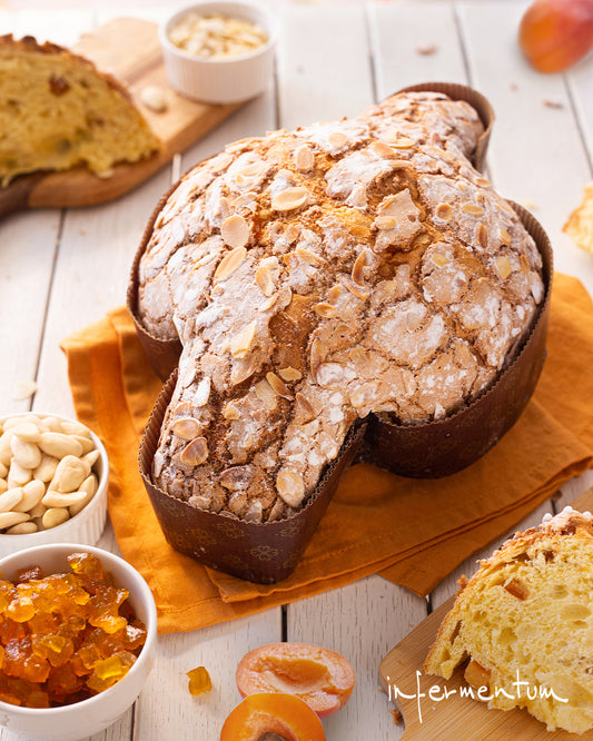 Osterkuchen - Marille "Colomba all´Albicocca" 750g - INFERMENTUM