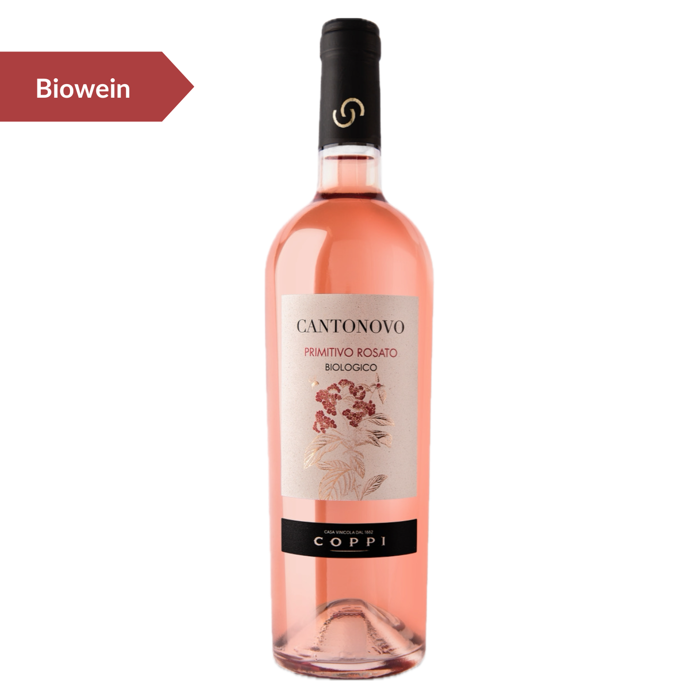 Primitivo Bio Rosè "Cantonovo" - COPPI