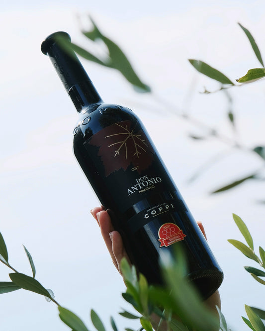 Don Antonio (2017) Primitivo Coppi 2 Flaschen