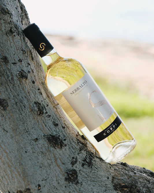 Serralto Malvasia Bianca Coppi 2 Flaschen